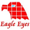 Eagle Eyes, A True Designer of Your Auto Light.