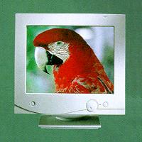 CRT Color Monitor