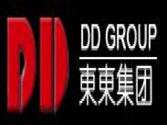 Shenzhen Deshan Technology Company Ltd