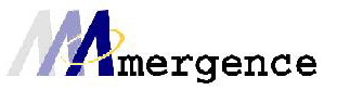 Amergence Technology
