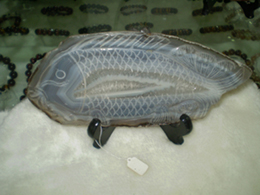 agate fish
