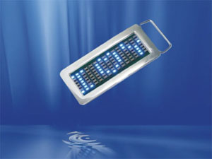 LED belt buckle