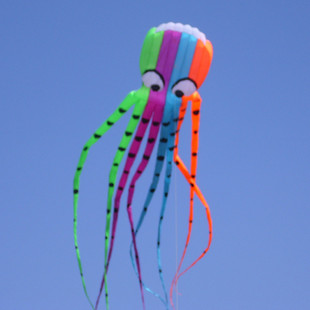 8M octopus kite(no frame soft)