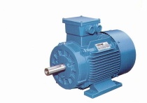 Y2/Y3 Series Three Phase Asynchronous Cast Iron Housing Motor