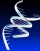 Gene Synthesis, Sequencing, Oligo Synthesis, SiRNA,etc.