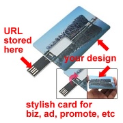 USB Webkey Plastic Card