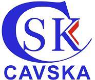 Shenzhen CAVSKA Technology Co., Ltd