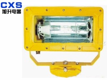 Outfield Explosion-proof Strong Flood Light