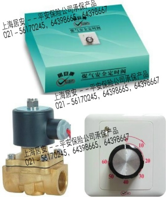 gas valve timer