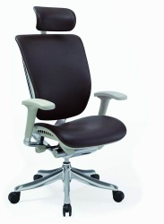 Skin Chair with headrest