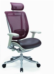 Mesh Chair with headrest