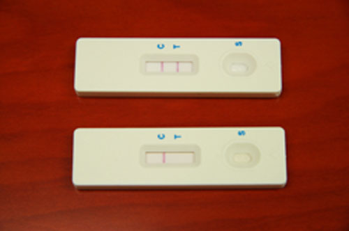 ractopamine test strip