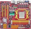 AMD Motherboard(PA78GT3-HG-LF)
