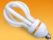 Lotus Energy Saving Lamp