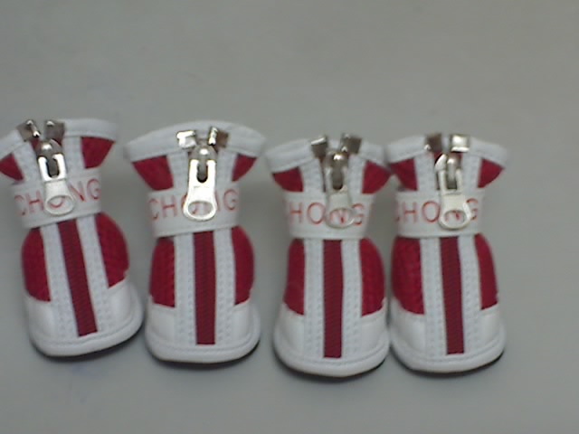 moko dog shoes