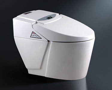 electronic toilet