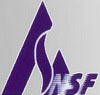China NSF Bearing Co., Ltd