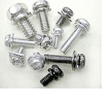 Assembled screw