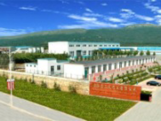 Shandong Sanyi Chemical Joint-Stock Co.LTD
