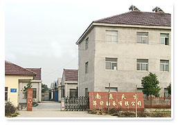 Nanjing Tiansheng Needle Roller Bearing Co.,Ltd