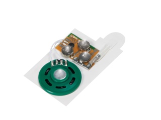 Sound module for greeting card