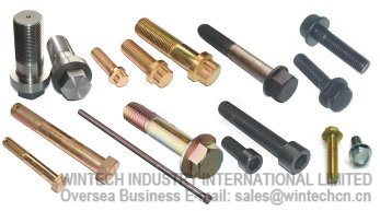 Bolts--Hex Flange Bolts,12 Point Flange Bolts,Special Bolts