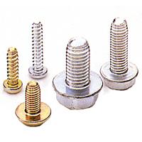 FT PL PV Thread Forming Screw