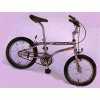 Bicycle (16" Rocky Type BMX)