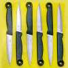 Stainless Steel 6Pc Kitchen Knives