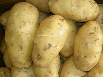 Cheap fresh potato - P 14