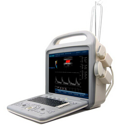 color doppler, 3D, portable