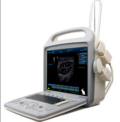 Color Doppler Ultrasound System for Veterinary