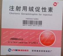HCG 5000iu 10vials Human Chorionic Gonadotropin top quality factory price - HGH05