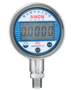 digital precision pressure gauge