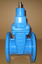 Resilient Seated gate valve