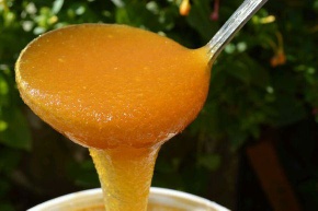 China raw Organic Linden honey export bulk pure honey