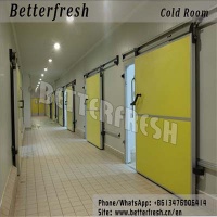 Dongguan Betterfresh refrigeration preservation Seed Storage ( Low Humidity Cold Store)Cold room - V3