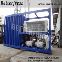 Dongguan Betterfresh refrigeration preservation pre cooling machine vacuum coolers for vegetables keep low temperature