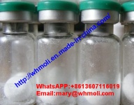 Fragment Amino Acids HGH 176-191 Peptide Hormones Bodybuilding Supplements