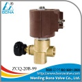 ZCQ-20B-99 solenoid valve for steam iron