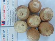 whole betel nut 95% good cut
