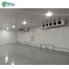 seafood packaging cold room walk in freezer for sale cold chamber