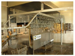 Poultry Frying Line