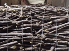 Hand Selected Licorice Roots