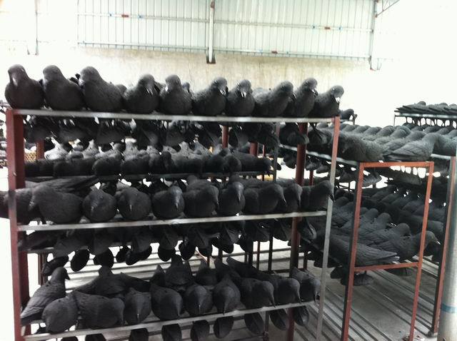 Taizhou Jiyuan Plastic Co.,Ltd.