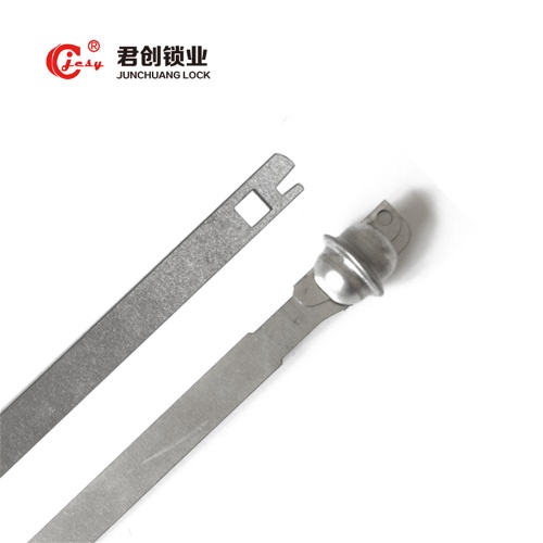 Standard low price metal strap seal