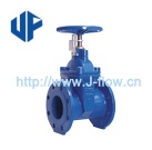 BS5163 Resilient Seated Gate Valve - G5163