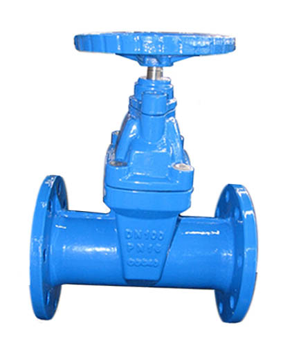 F5 non-rising stem resilient seated gate valve
