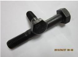 ASTM A325 Structural Bolt with Black Finish