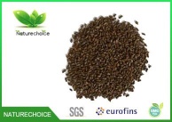Organic Cassia Seeds